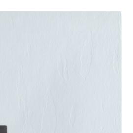    Allen Brau Priority 140x90 8.31009-21  