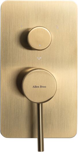       Allen Brau Priority 5.31A11-GB   , 