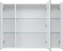    Aquanet  100   (    )