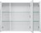    Aquanet  100   (    ) 13