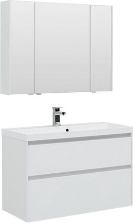    Aquanet  100   (    )