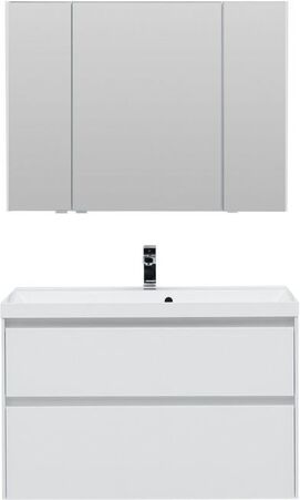    Aquanet  100   (    )