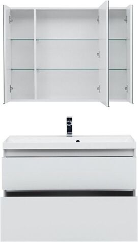    Aquanet  100   (    )