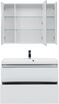    Aquanet  100   (    ) 5