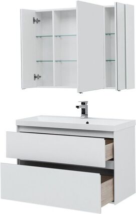    Aquanet  100   (    )