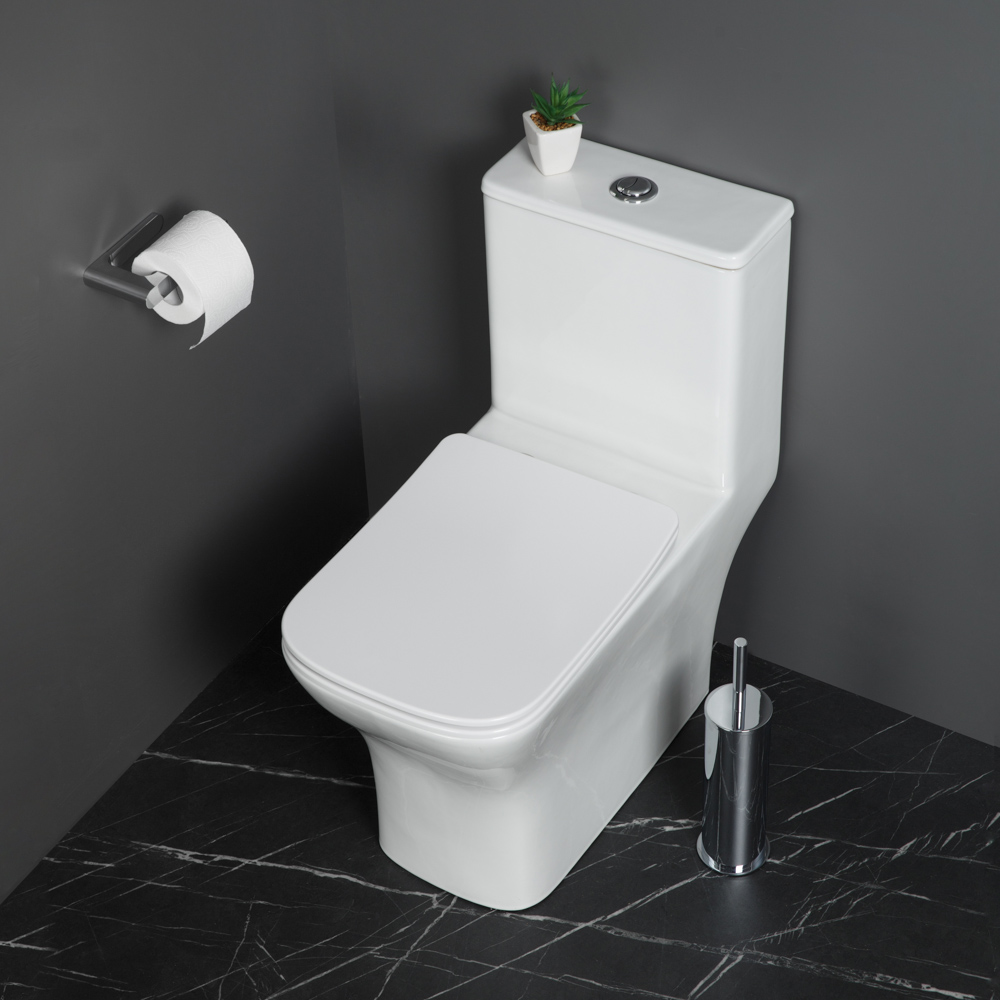 Унитаз-моноблок BelBagno Neon BB8617CPR-MN/SC безободковый, с сиденьем микролифт, белый, цвет хром - фото 9