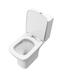 Фото Унитаз-компакт BelBagno ROMANO-TOR  BB2803CP/T-TOR/SC безободковый, белый, с крышкой микролифт 5