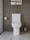 Фото Унитаз-компакт BelBagno ROMANO-TOR  BB2803CP/T-TOR/SC безободковый, белый, с крышкой микролифт 14