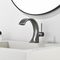     Black&White 7106GM   13