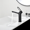     Black&White 7109MB   13