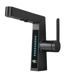 Смеситель для раковины Black&White  SD3029B