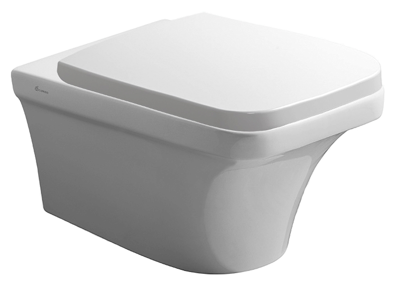 Подвесной унитаз Caprigo Flat FLW10 8000₽