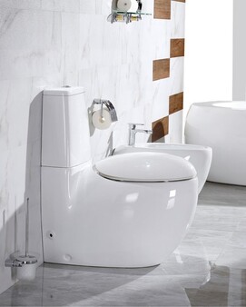 Унитаз-компакт CeramaLux  2451