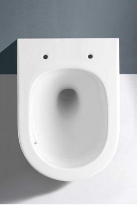 Фото Унитаз подвесной CeramaLux TR-0199ZK безободковый, с крышкой микролифт, белый