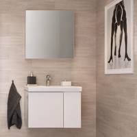 Мебель для ванной Cersanit Colour 50 SZ-COL-CM/COL/50