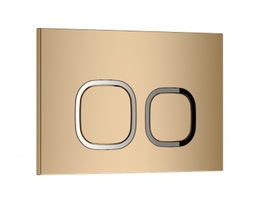    Ceruttispa Aco CR01GD