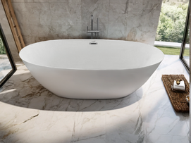   Ceruttispa Greta CT10517