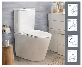   Ceruttispa Piera Tornado CT10560 ,   , 