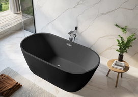   Ceruttispa Resia CT10521