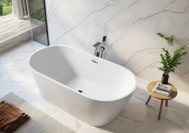   Ceruttispa Resia CT10520