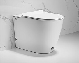   Ceruttispa Barbaria Pulse CT7264    ,   , 