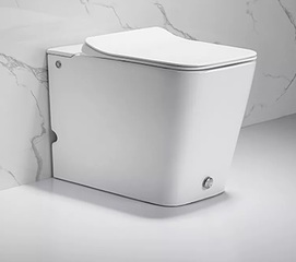   Ceruttispa Disgrazia Pulse CT7269   2 ,     