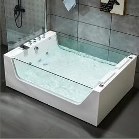    Ceruttispa 170120 C-454A , 
