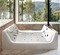    Ceruttispa 170120 C-454A ,  0