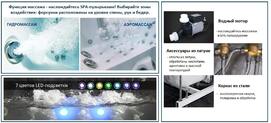    Ceruttispa 170120 C-454A , 