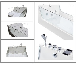    Ceruttispa 170120 C-454A , 