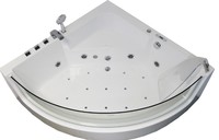  Ceruttispa C-401 7198