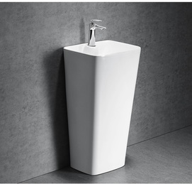   Ceruttispa Dorris 43 , 