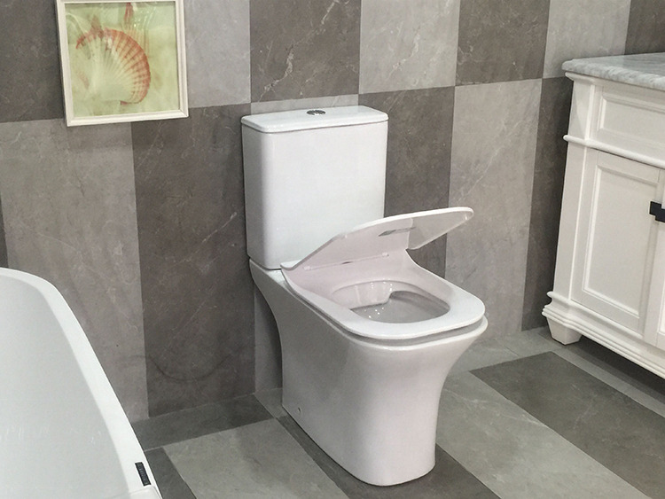 Унитаз-компакт Cerutti SPA Vettore MW CT9240 безободковый, с сиденьем микролифт, белый матовый - фото 7