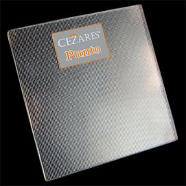 Фото Душевой уголок Cezares Anima 90х90 Anima-R-1-90-P-Cr без поддона, стекло матовое, профиль хром