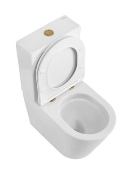Фото Унитаз напольный Cezares LINER CZR-6726-CP-TOR/SC безободковый, белый, с крышкой микролифт