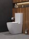 Фото Унитаз напольный Cezares STYLUS CZR-538-CP-TOR/SC безободковый, белый, с крышкой микролифт 0