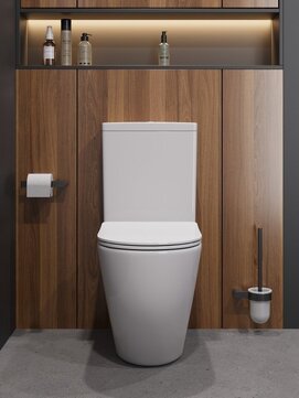 Фото Унитаз напольный Cezares STYLUS CZR-538-CP-TOR/SC безободковый, белый, с крышкой микролифт