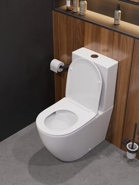 Фото Унитаз напольный Cezares STYLUS CZR-538-CP-TOR/SC безободковый, белый, с крышкой микролифт