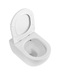 Фото Унитаз подвесной Cezares STYLUS-TOR CZR-546-TH-TOR/SC безободковый, белый, с крышкой микролифт 23