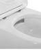 Фото Унитаз подвесной Cezares STYLUS-TOR CZR-546-TH-TOR/SC безободковый, белый, с крышкой микролифт 12