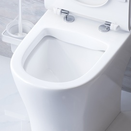 Фото Унитаз-компакт Damixa Sirius DX86C8600SC белый, с крышкой микролифт