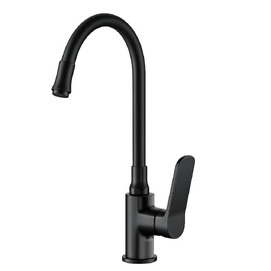 Смеситель для кухни Frap H61/H62 F4462