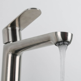 Фото Смеситель для раковины Frap H806 F10806-2 высокий, сатин