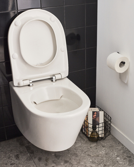 Фото Подвесной унитаз Jacob Delafon Bastille EDAB102-00 безободковый, белый, без сиденья