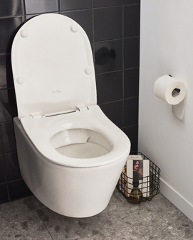 Фото Подвесной унитаз Jacob Delafon Bastille EDAB102-00 безободковый, белый, без сиденья