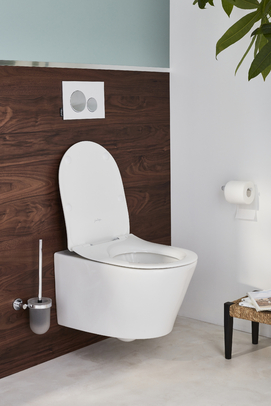 Фото Подвесной унитаз Jacob Delafon Bastille EDAB102-00 безободковый, белый, без сиденья