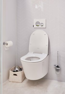 Фото Подвесной унитаз Jacob Delafon Bastille EDAB102-00 безободковый, белый, без сиденья