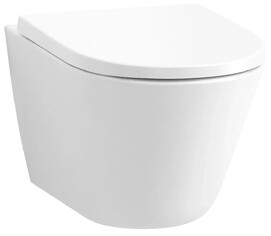 Подвесной унитаз Jacob Delafon Bastille EDAS102-00