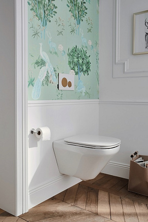 Комплект подвесного унитаза с инсталляцией Jacob Delafon Modern Life E21775RU-BL безободковый сиденье микролифт белый кнопка черная 49089₽