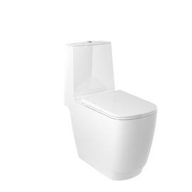Унитаз напольный с закрытой чашей Kludi Resa 27WCB0153